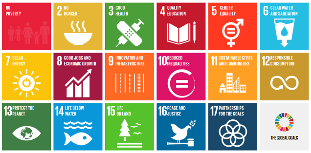 ROUND TABLE DISCUSSION OF DESCENT BASED DISCRIMINATED COMMUNITIES & GLOBAL CASTE STRATEGIES TO ADDRESS THEM THROUGH SDGS